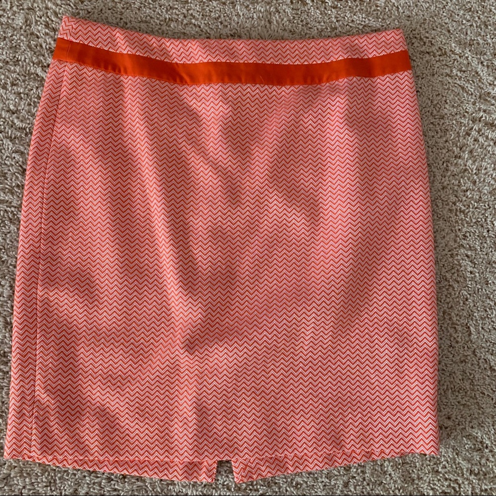 The Limited skirt